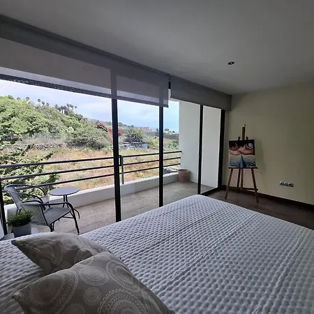 Golden Flower 塔科龙特