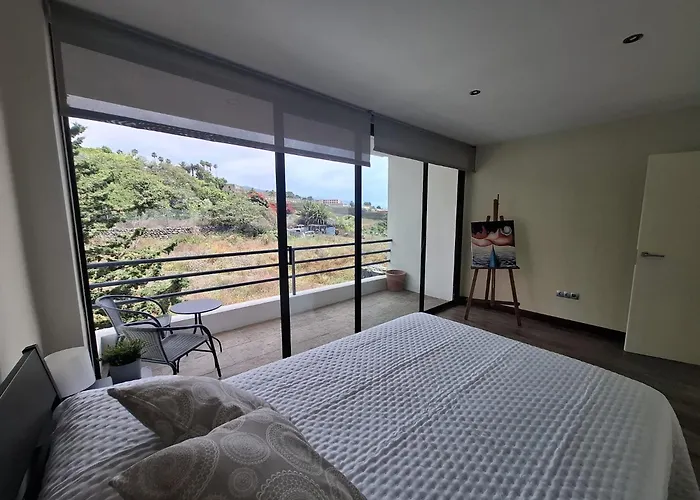 Golden Flower タコロンテ