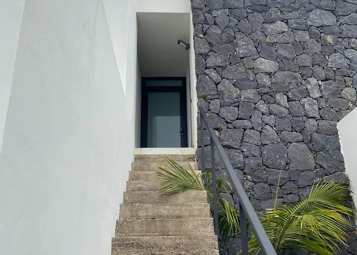 Golden Flower タコロンテ