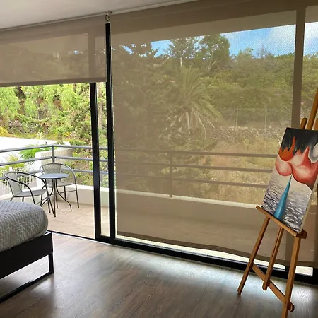 Golden Flower * Tacoronte