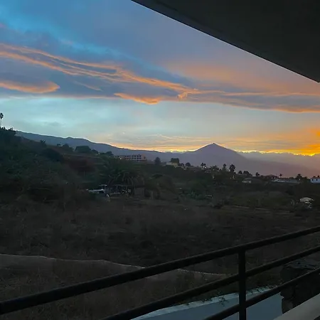 Golden Flower Tacoronte