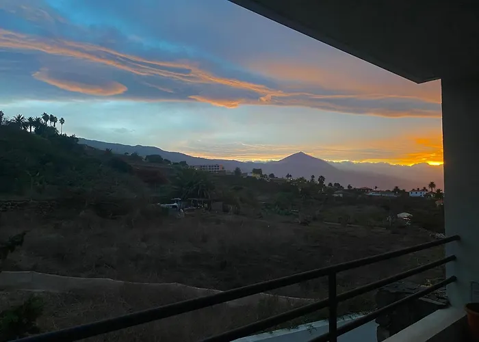 Golden Flower تاكورونتي